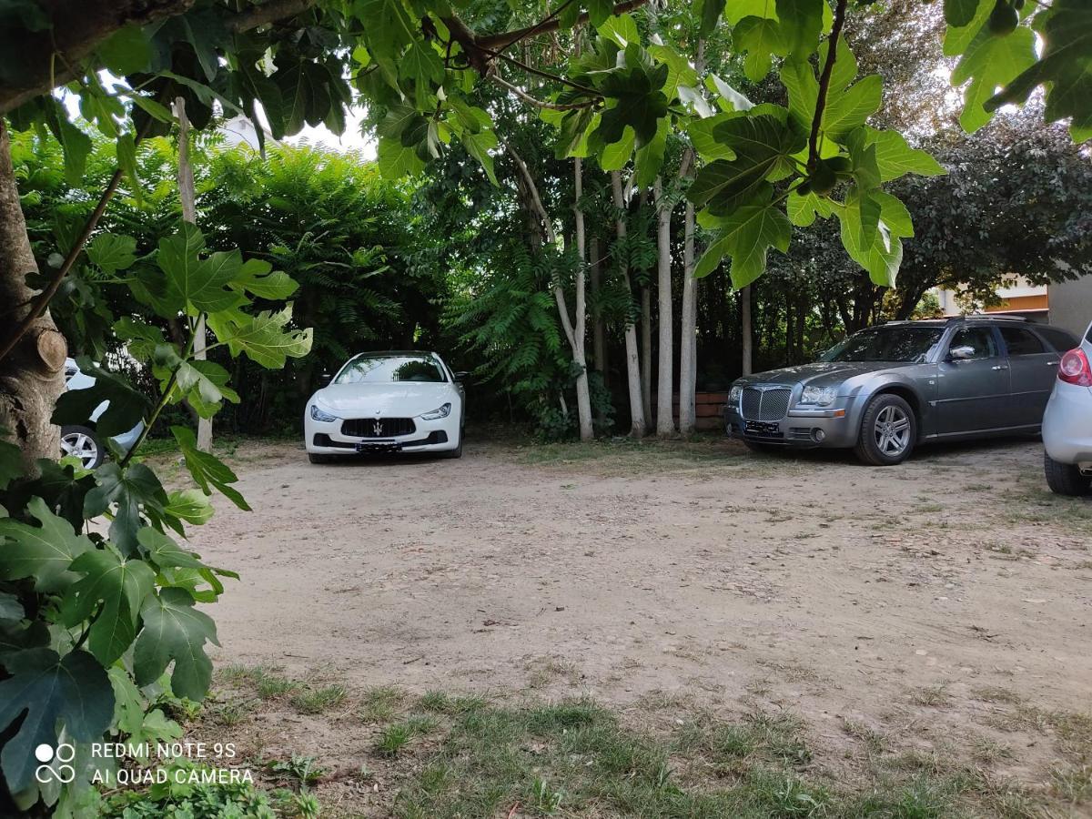 Apartment Albert Parking Prive Gratuit 利慕 外观 照片