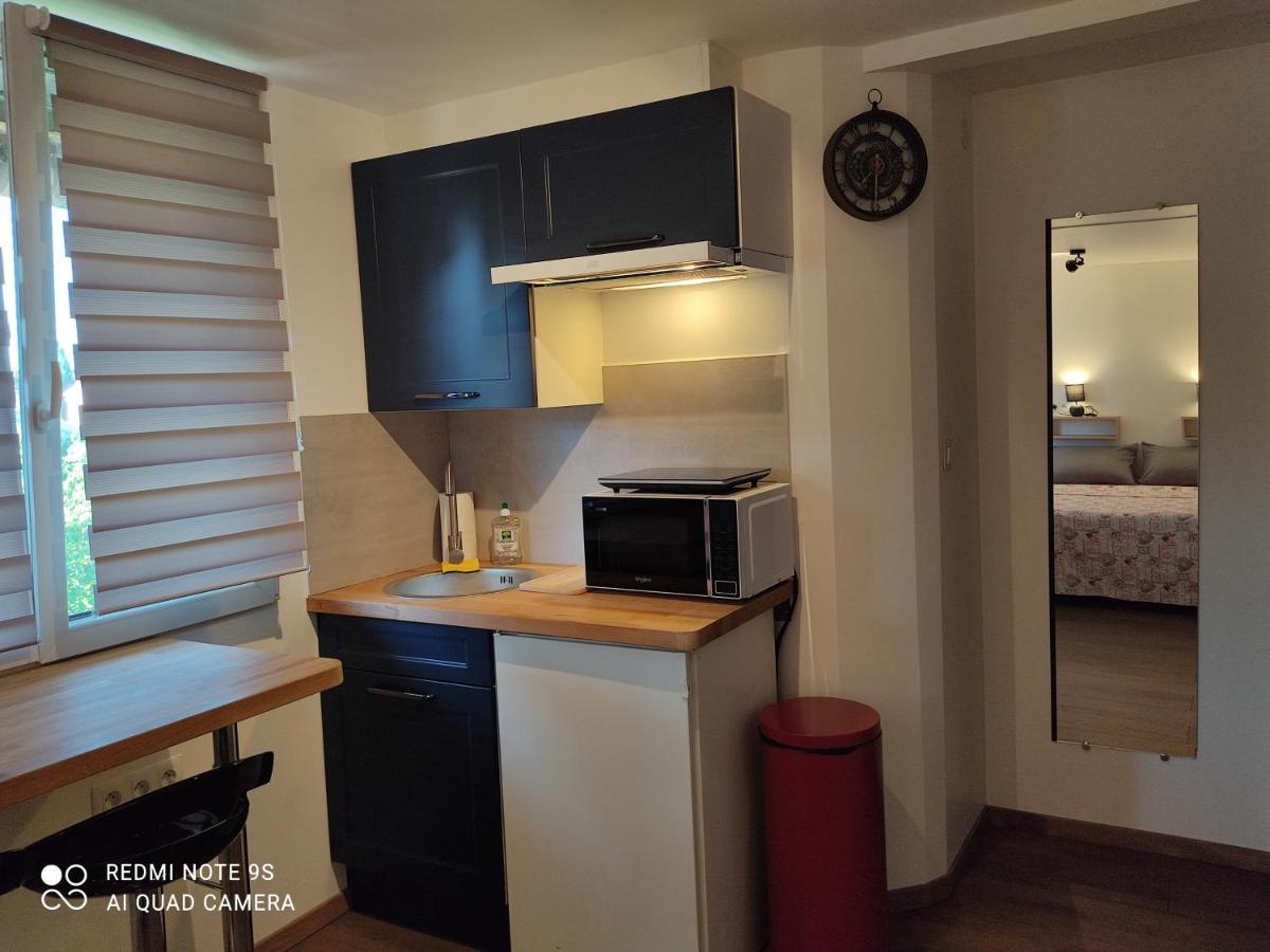 Apartment Albert Parking Prive Gratuit 利慕 外观 照片